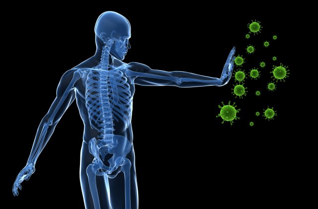 Understanding your Immune System According to Traditional Chinese Medicine!